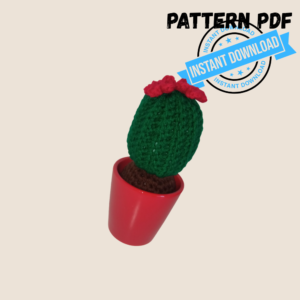 cactus piccolo pianta pattern